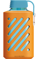 VOZOL GEAR 10000 mandarina frambuesa 884N305 - VOZOL vape Chile