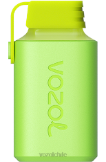 VOZOL GEAR 600 durazno manzana 884N345 - VOZOL vape Chile