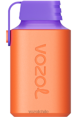 VOZOL GEAR 600 lichi guayaba sandía 884N353 - VOZOL Chile