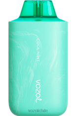 VOZOL STAR 6000/8000v2 menta fresca 884N57 - VOZOL vape sabores