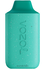 VOZOL STAR 6000 menta fresca 884N110 - VOZOL vape sale