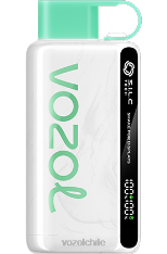 VOZOL STAR 9000/12000 chicle de sandía 884N34 - VOZOL vape flavors