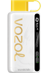 VOZOL STAR 9000/12000 kiwi maracuyá guayaba 884N25 - VOZOL vape Chile