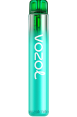 VOZOL NEON 800 arándano frambuesa agria 884N246 - VOZOL Santiago