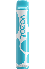 VOZOL JOYGO 600 arándano frambuesa agria 884N377 - VOZOL vape sabores