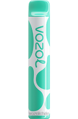 VOZOL JOYGO 600 mentol 884N387 - VOZOL vape sabores