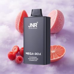 Arándano Agrio Frambuesa Fresa JNR Mega Box 25000 Puffs Tipo-C Carga Rápida Chile wholesale