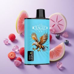 Arándano Azul Frambuesa Ácida JNR EAGLE Smart 23000 Puffs Pantalla Digital Chile wholesale