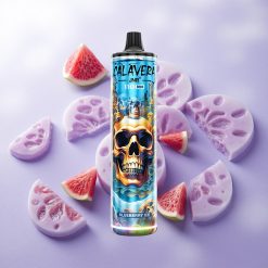 Arándano Azul Hielo JNR Calavera 11000 Puffs 21ml de Capacidad Chile wholesale