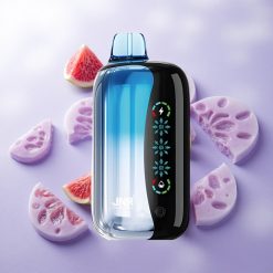 Arándano Azul Hielo JNR Flex 21000 Puffs Pantalla Táctil Chile wholesale