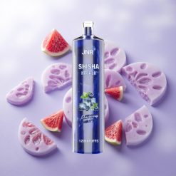 Arándano Azul Hielo JNR Shisha Hookah 12000 Puffs Batería 750mAh Chile wholesale