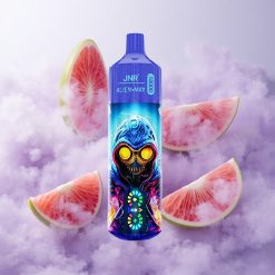 Arándano Chicle JNR Alien Max 18000 Puffs Pantalla LED Inteligente Chile wholesale