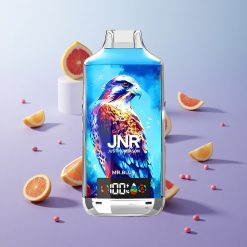 Azul Señor JNR Falcon X 18000 Puffs Tipo-C Carga Rápida Chile wholesale