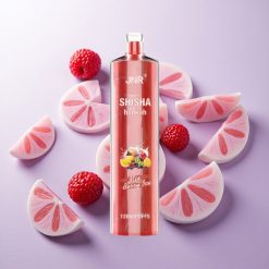 Baya Helada JNR Shisha Hookah 12000 Puffs Capacidad de batería 750mAh Chile wholesale