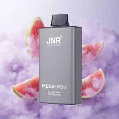 Chicle de Arándano JNR Mega Box 25000 Puffs Desechable Chile wholesale