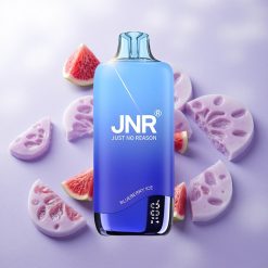 Combinación de Arándano Azul Helado JNR Rainbow 10500 Puffs Batería de 600mAh Chile wholesale