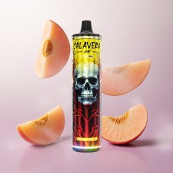 Durazno Mango JNR Calavera 11000 Puffs Dispositivo con Puerto Tipo-C Chile wholesale