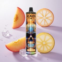 Durazno Mango Piña Hielo JNR Calavera 11000 Puffs 21ml Capacidad de Líquido Chile wholesale
