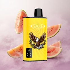 Durazno Mango Sandía JNR EAGLE Smart 23000 Puffs Pantalla Digital Chile wholesale