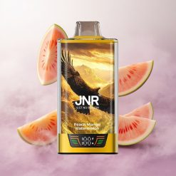Durazno Mango Sandía JNR Falcon Pro 28000 Puffs Dual Malla Chile wholesale