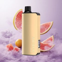 Fanta Alibarbar Ingot 9000 Puffs 22ml Chile wholesale