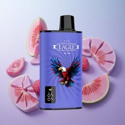 Frambuesa Azul Cereza JNR EAGLE Smart 23000 Puffs Pantalla Digital Chile wholesale