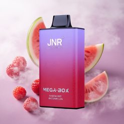 Frambuesa Sandía JNR Mega Box 25000 Puffs Vape Desechable Carga Rápida Tipo-C Chile wholesale