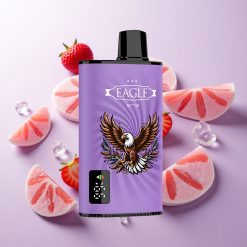 Fresa Helada JNR EAGLE Smart 23000 Puffs Pantalla Digital Chile wholesale