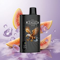 Grosella Negra Mango Helado JNR EAGLE Smart 23000 Puffs Pantalla Digital Chile wholesale