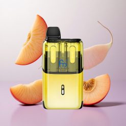 Mango Jugoso-Durazno Jugoso Fumot Ultra T32000 32000 Puffs Carga Rápida Tipo-C Chile wholesale