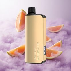 Mango Mágico Alibarbar Ingot 9000 Puffs 22ml Chile wholesale