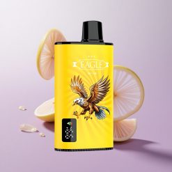 Manzana Doble JNR EAGLE Smart 23000 Puffs Pantalla Digital Chile wholesale