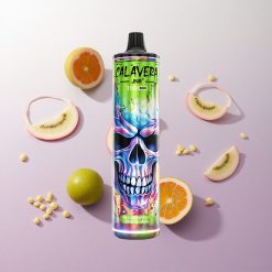 Maracayá Kiwi Guayaba JNR Calavera 11000 Puffs con Puerto Tipo-C Chile wholesale