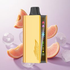 Melocotón Hielo JNR Cruiser 12000 Puffs Sin Cargar Vape Desechable con Batería Integrada Chile wholesale