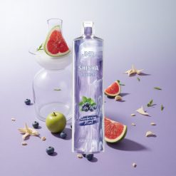 Menta Arándano JNR Shisha Hookah 12000 Puffs 24ml Chile wholesale