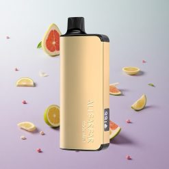 Menta Fría Alibarbar Ingot 9000 Puffs 22ml Chile wholesale