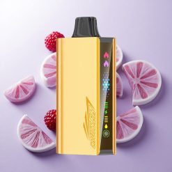 Mora Helada JNR Cruiser 12000 Puffs Vape Desechable Sin Carga con Batería Incorporada Chile wholesale