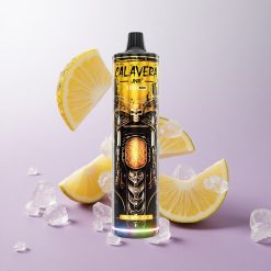 Piña Hielo JNR Calavera 11000 Puffs con Puerto Tipo-C Chile wholesale