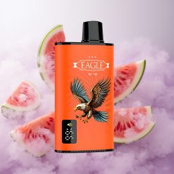 Sandía Hielo JNR EAGLE Smart 23000 Puffs Pantalla Digital Chile wholesale