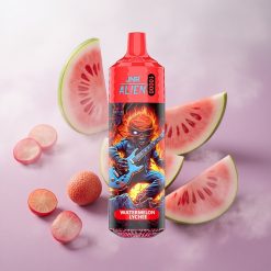 Sandía Lichi JNR Alien 10000 Puffs Batería 850mAh Chile wholesale