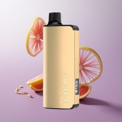 Tabaco Alibarbar Ingot 9000 Puffs 22ml Chile wholesale